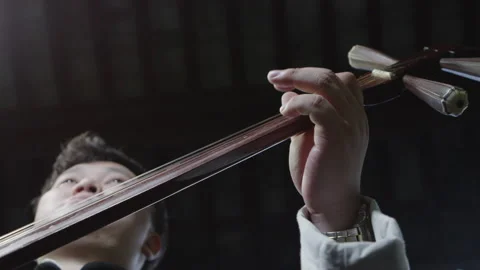 Close-Up Of Man's Hands Playing Old Vintage Lute String Instrument Vídeos de archivo 133386376