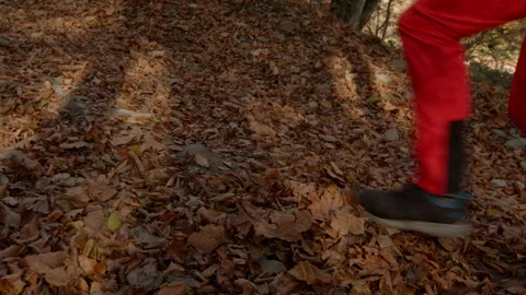 Close-up of mans legs running up the cross-country road, shaking fallen leaves Stock Footage 167336478