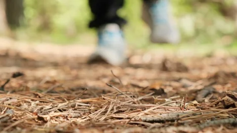 Close-up of man's legs slowly steps forward along forest path with dry pine need Video stock 247177801
