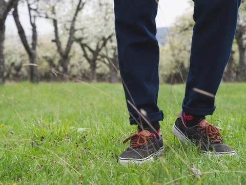 Close-up of man's legs in stylish sneakers on green grass Stock Photos