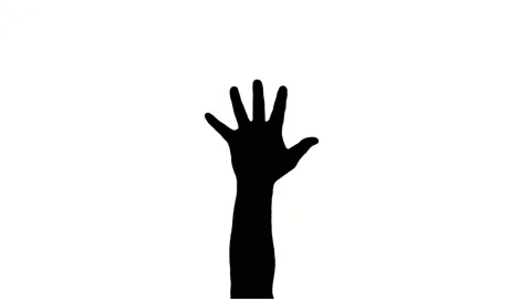 Close-up, man's spread fingers, palm, hand gesture, black silhouette on white Stock Footage 132254890