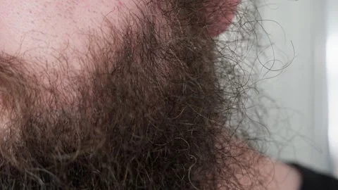 Close Up of a Man's Thick, Curly Beard Showing Natural Hair Texture and Growth Stock Footage 329937024