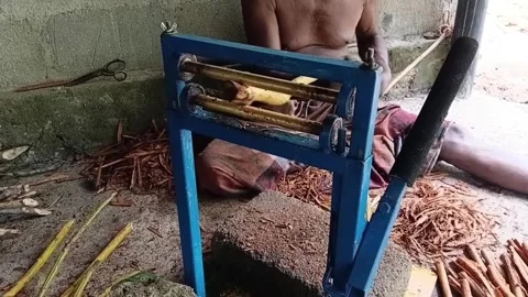 Close Up Manual Cinnamon Bark Machine Operation Stock Footage 346425445