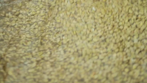 Close up of manually washing coffee beans Stock Footage 169666853