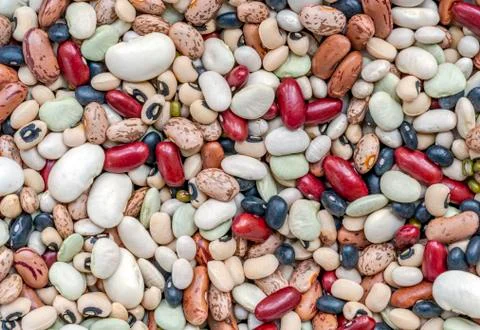 Close up many beans, different kind of beans 스톡 사진