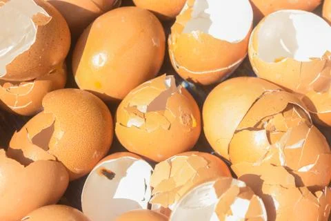 Close-up many broken eggshell with sunshine for background and texture. Foto stock