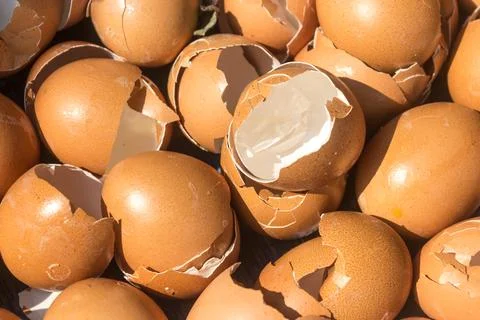 Close-up many broken eggshell with sunshine for background and texture. Stock Photos