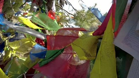 Close up of many buddhist flags moving by the wind Stock Footage 228457003