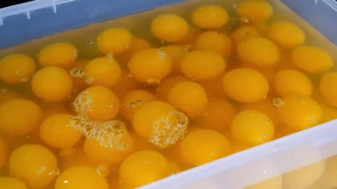 Close-up of many raw broken chicken eggs and yolks in a white plastic container, Stock Footage 331775759