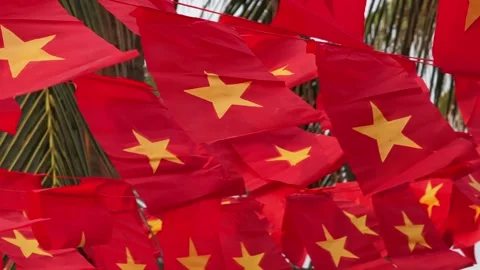 Close up of Many Small Vietnamese Flags hanging in Wind Among Palm Trees during Stock Footage 341456164