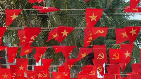 Close up of many Vietnamese flags and on rope over city street with palms Vidéo 342219972