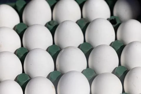 Close-up of many white eggs background. Stock Photos