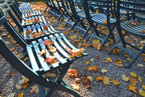 Close up of the maple leaf on the green colour outdoor chairs Stock Photos