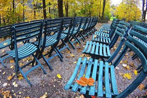 Close up of the maple leaf on the green colour outdoor chairs Stock Photos