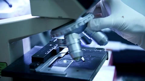 Close up of the Marburg virus under the microscope, in FHD 60 fps video format Stock Footage 336583452
