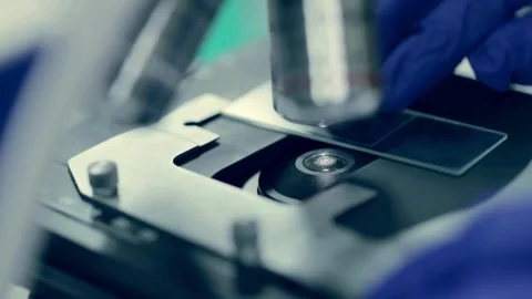 Close up of the Marburg virus under the microscope, in FHD 60 fps video format Stock Footage 336583465