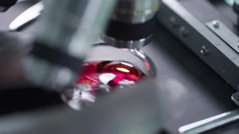 Close up of the Marburg virus under the microscope, in FHD 60 fps video format Stock Footage 336583491