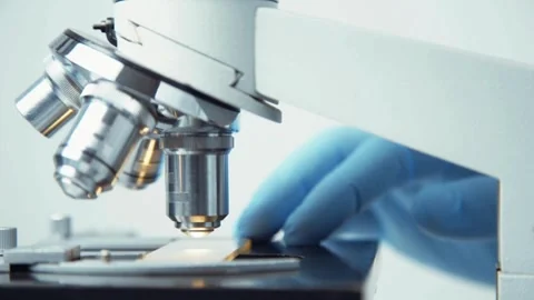 Close up of the Marburg virus under the microscope, in FHD 60 fps video format Stock Footage 336583501