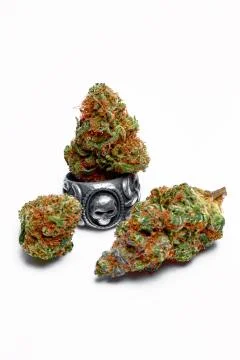Close up of marijuana buds with skull ring Фото