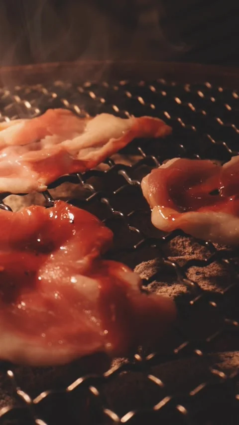 Close-up of marinated pork sizzling on a wire mesh gridiron over hot charcoal Stock Footage 344921799