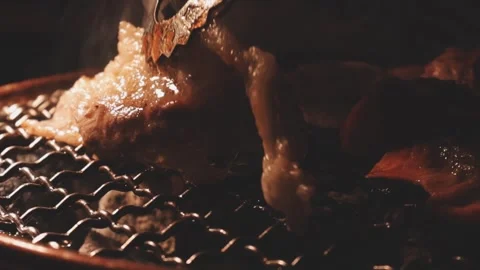 Close-up of marinated pork sizzling on a wire mesh gridiron over hot charcoal Vidéo 344921831