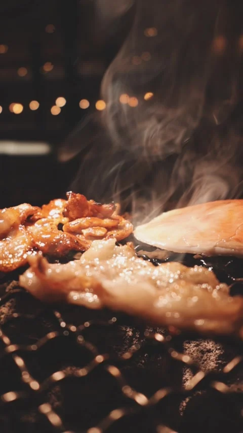 Close-up of marinated pork sizzling on a wire mesh gridiron over hot charcoal Stock Footage 344921842