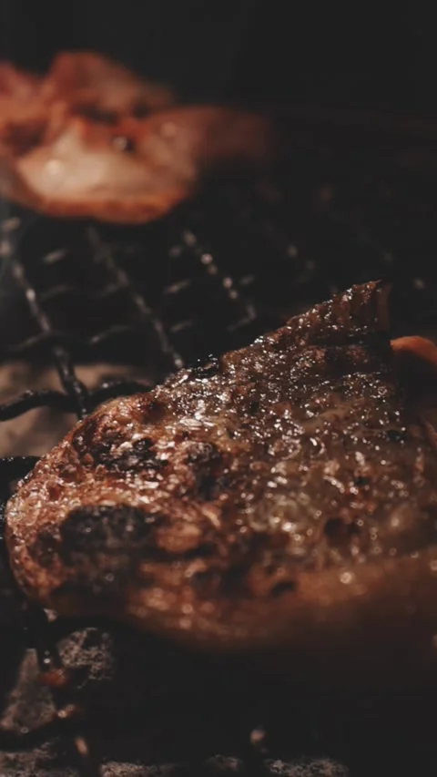Close-up of marinated pork sizzling on a wire mesh gridiron over hot charcoal Vidéo 344921845