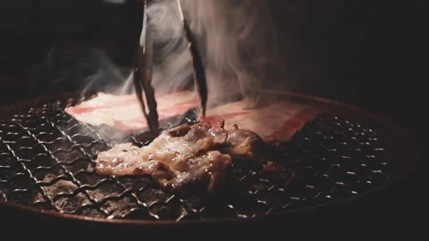 Close-up of marinated pork sizzling on a wire mesh gridiron over hot charcoal Vidéo 344921858