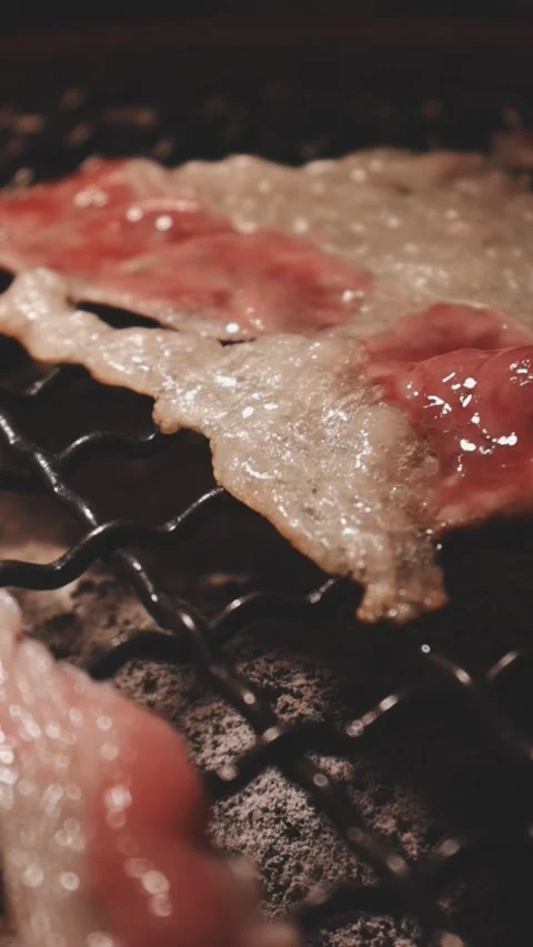 Close-up of marinated pork sizzling on a wire mesh gridiron over hot charcoal 库存影片 344921896