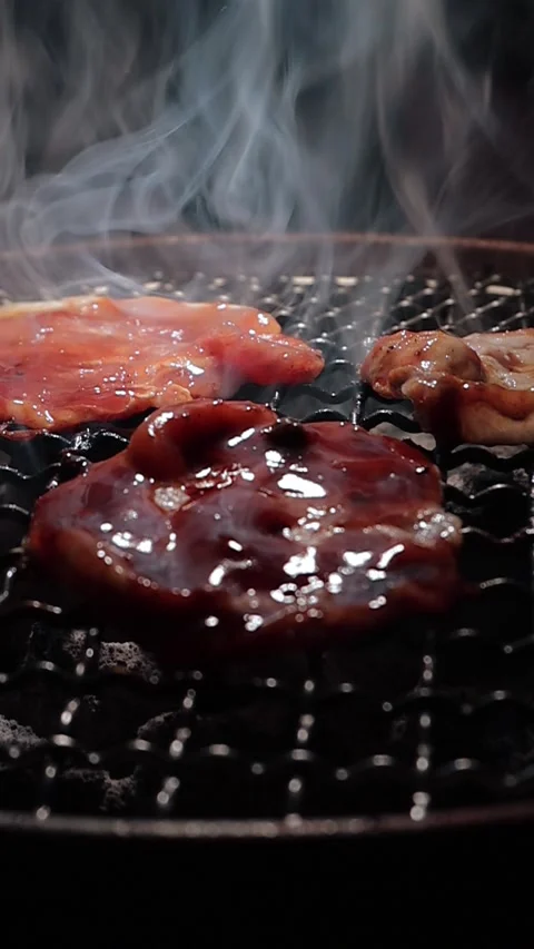 Close-up of marinated pork sizzling on a wire mesh gridiron over hot charcoal 库存影片 344921899
