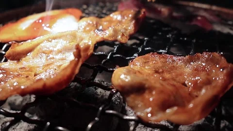 Close-up of marinated pork sizzling on a wire mesh gridiron over hot charcoal Stock Footage 344921914