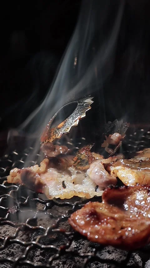 Close-up of marinated pork sizzling on a wire mesh gridiron over hot charcoal Stock Footage 344921918