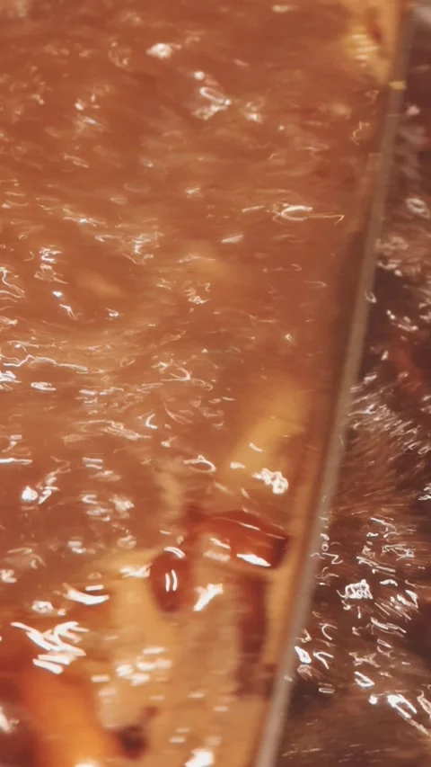 Close-up of marinated pork sizzling on a wire mesh gridiron over hot charcoal Stockbeeldmateriaal 344921940