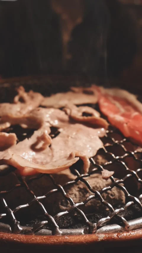 Close-up of marinated pork sizzling on a wire mesh gridiron over hot charcoal Stock Footage 344921959