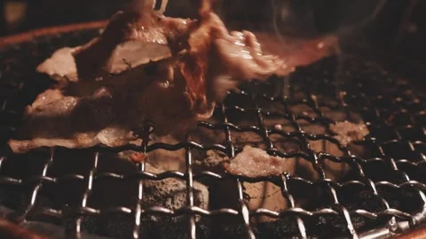 Close-up of marinated pork sizzling on a wire mesh gridiron over hot charcoal Stock Footage 344921967