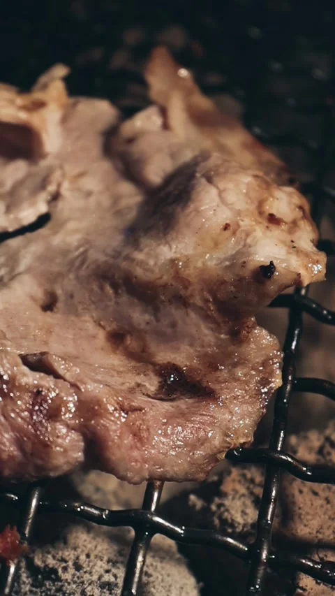 Close-up of marinated pork sizzling on a wire mesh gridiron over hot charcoal Stock Footage 344921968