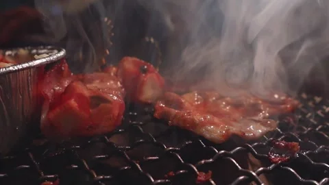 Close-up of marinated pork sizzling on a wire mesh gridiron over hot charcoal Stock Footage 344921986