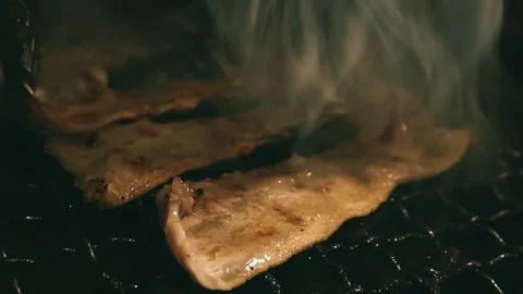 Close-up of marinated pork sizzling on a wire mesh gridiron over hot charcoal Video stock 344921991