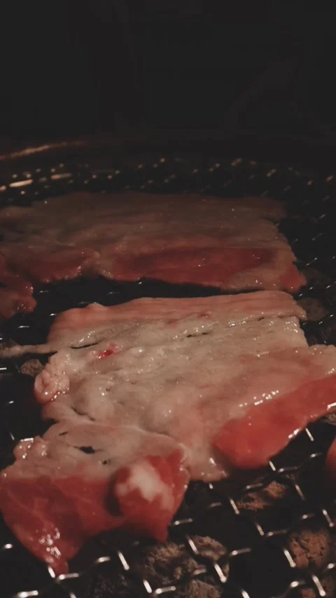 Close-up of marinated pork sizzling on a wire mesh gridiron over hot charcoal Stockbeeldmateriaal 344921994