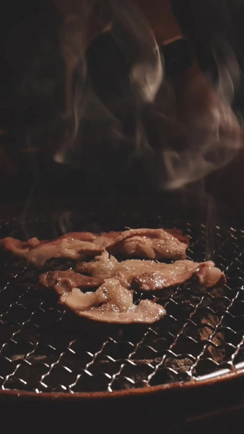 Close-up of marinated pork sizzling on a wire mesh gridiron over hot charcoal 库存影片 344922005