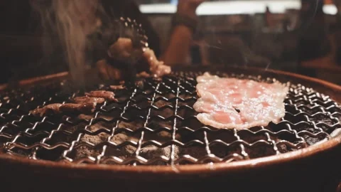 Close-up of marinated pork sizzling on a wire mesh gridiron over hot charcoal Stock Footage 344922010