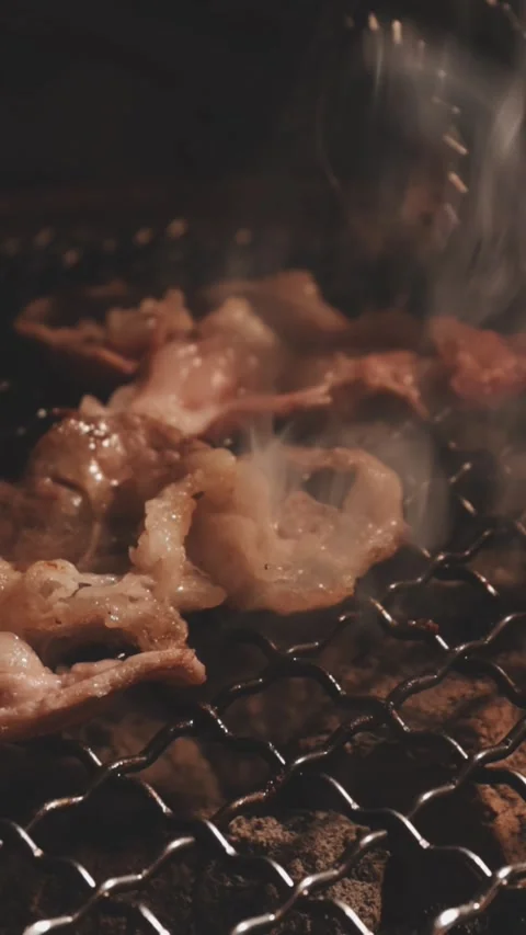 Close-up of marinated pork sizzling on a wire mesh gridiron over hot charcoal Stock Footage 344922011