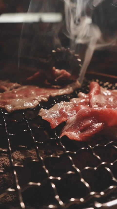 Close-up of marinated pork sizzling on a wire mesh gridiron over hot charcoal Stock Footage 344922017