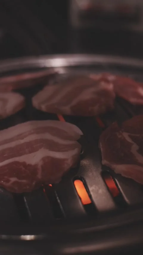 Close-up of marinated pork sizzling on a wire mesh gridiron over hot charcoal Stock Footage 344922035