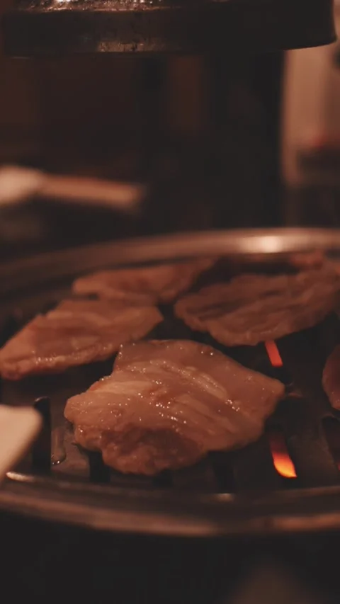 Close-up of marinated pork sizzling on a wire mesh gridiron over hot charcoal Stock Footage 344922037