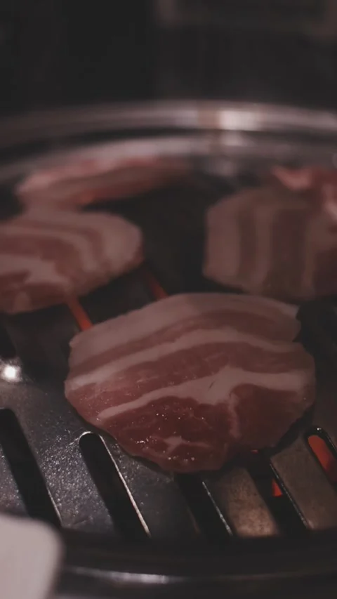 Close-up of marinated pork sizzling on a wire mesh gridiron over hot charcoal Stock Footage 344922038