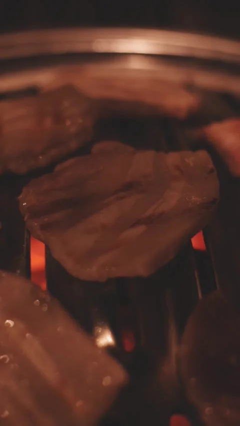 Close-up of marinated pork sizzling on a wire mesh gridiron over hot charcoal Stock Footage 344922046