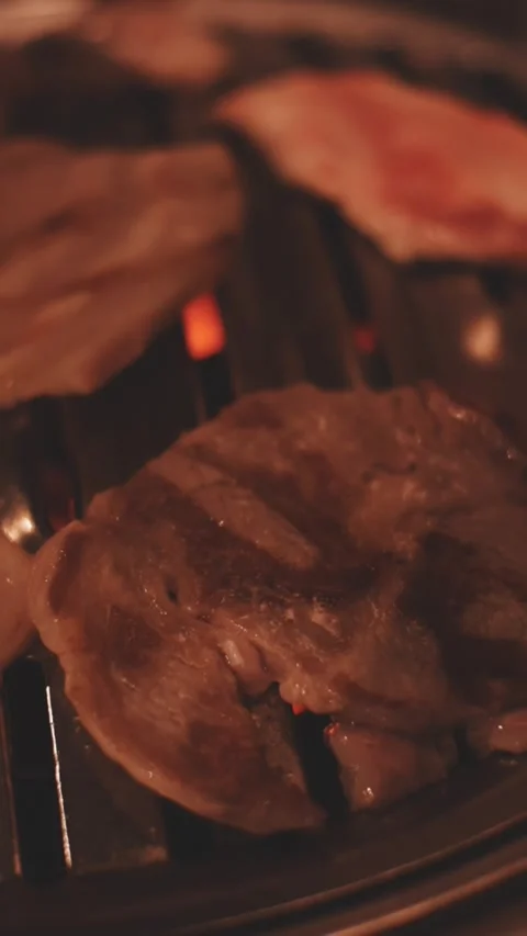 Close-up of marinated pork sizzling on a wire mesh gridiron over hot charcoal Stock Footage 344922052