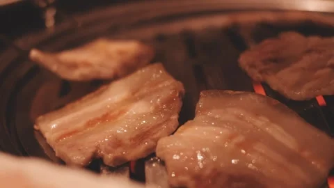 Close-up of marinated pork sizzling on a wire mesh gridiron over hot charcoal Stock Footage 344922069