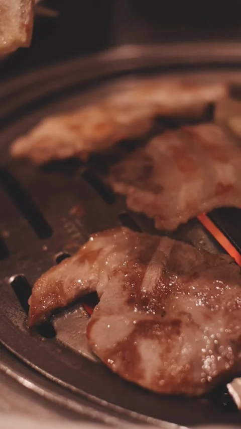 Close-up of marinated pork sizzling on a wire mesh gridiron over hot charcoal Stock Footage 344922079